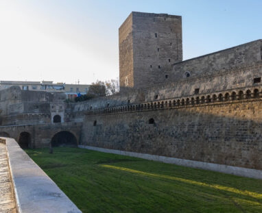 bari-0446