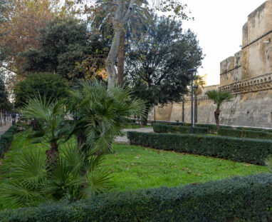 bari-0526