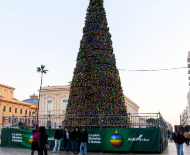 bari-0592 LIGHT